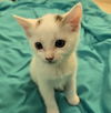 Eloise