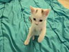 Eloise