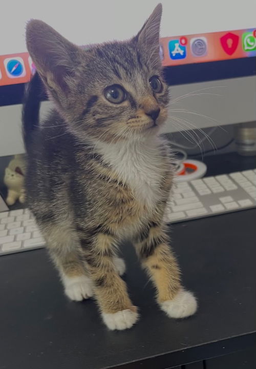 Quincy