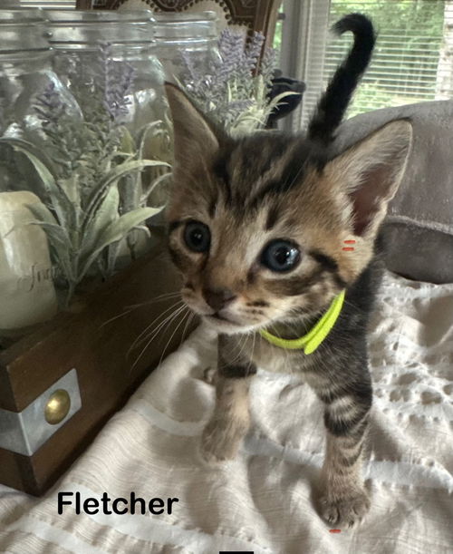 Fletcher