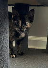 Marnie