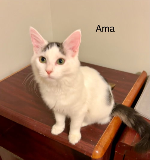 Ama