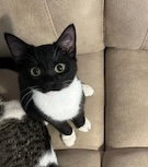 Zoe Image