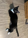 Zoe