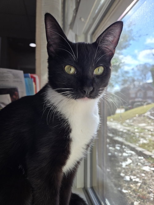 Zoe