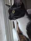 Zoe
