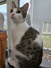 Mister Zig