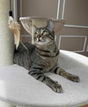 Annabell - Photo 9