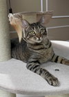 Annabell - Photo 4