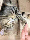 Annabell - Photo 7