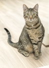Annabell - Photo 2