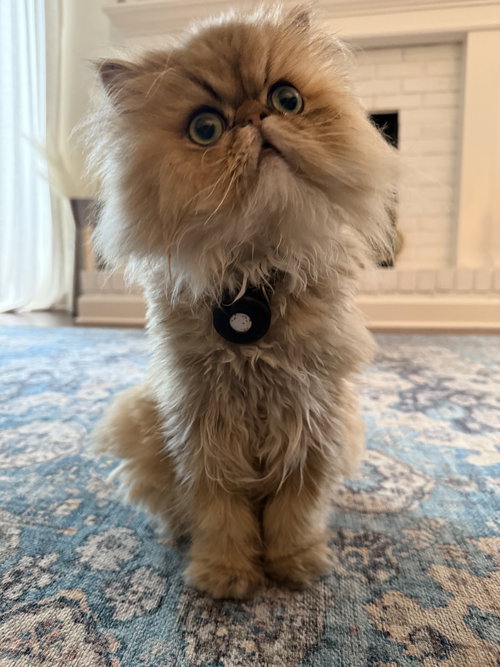 Jeremy