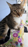 Laverne