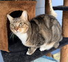 Laverne