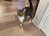 Laverne