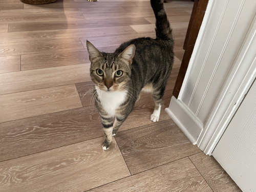 Laverne