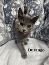Durango