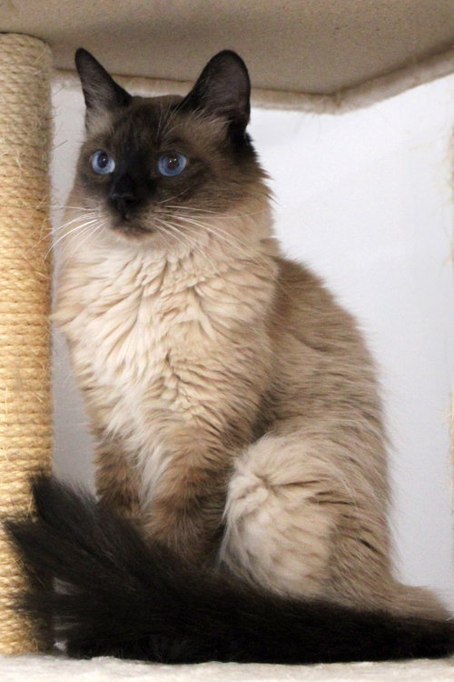 Lily