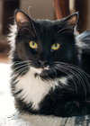 Seymore