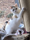 Purry