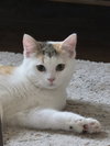 Purry