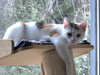 Purry