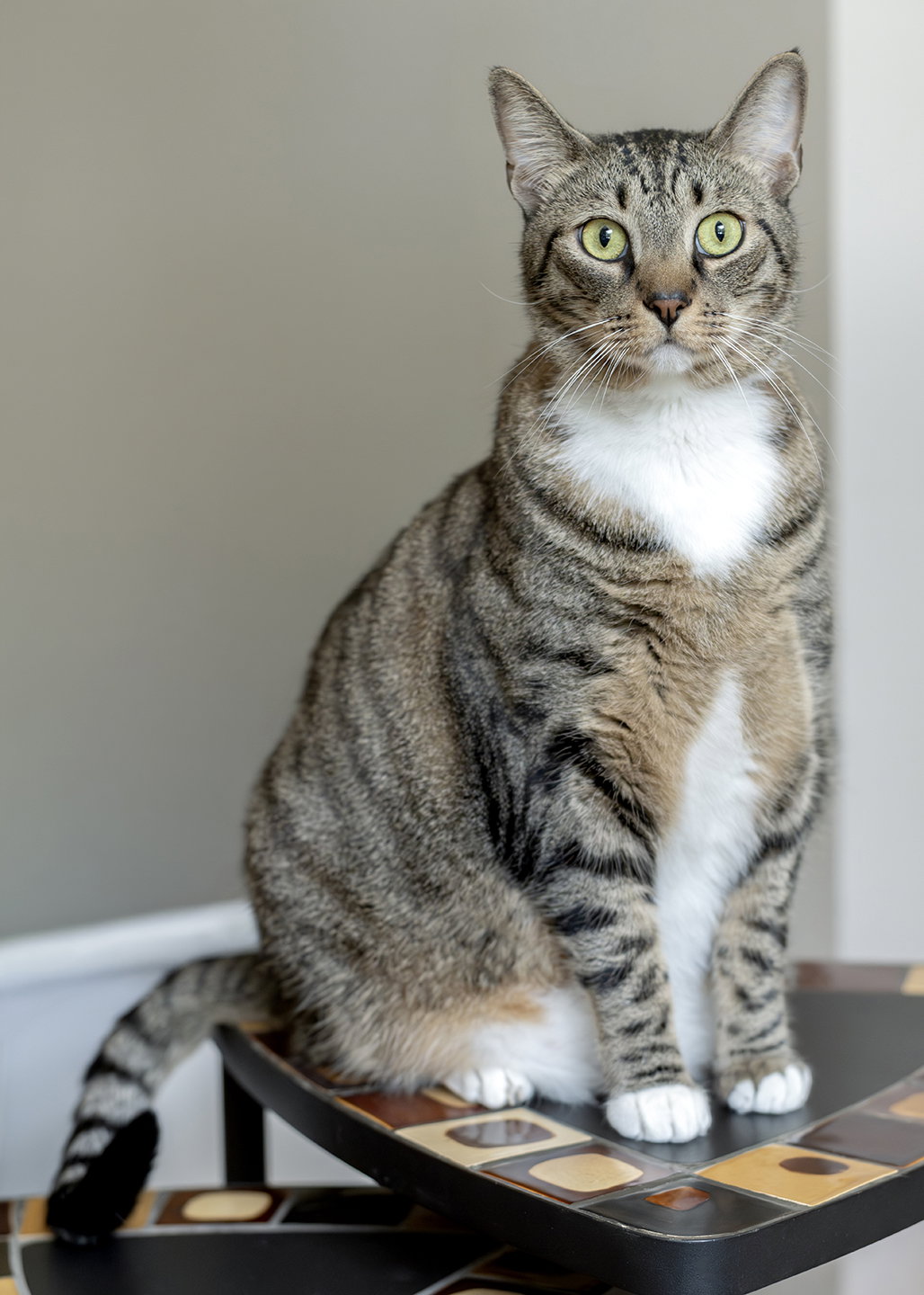 Gus Image