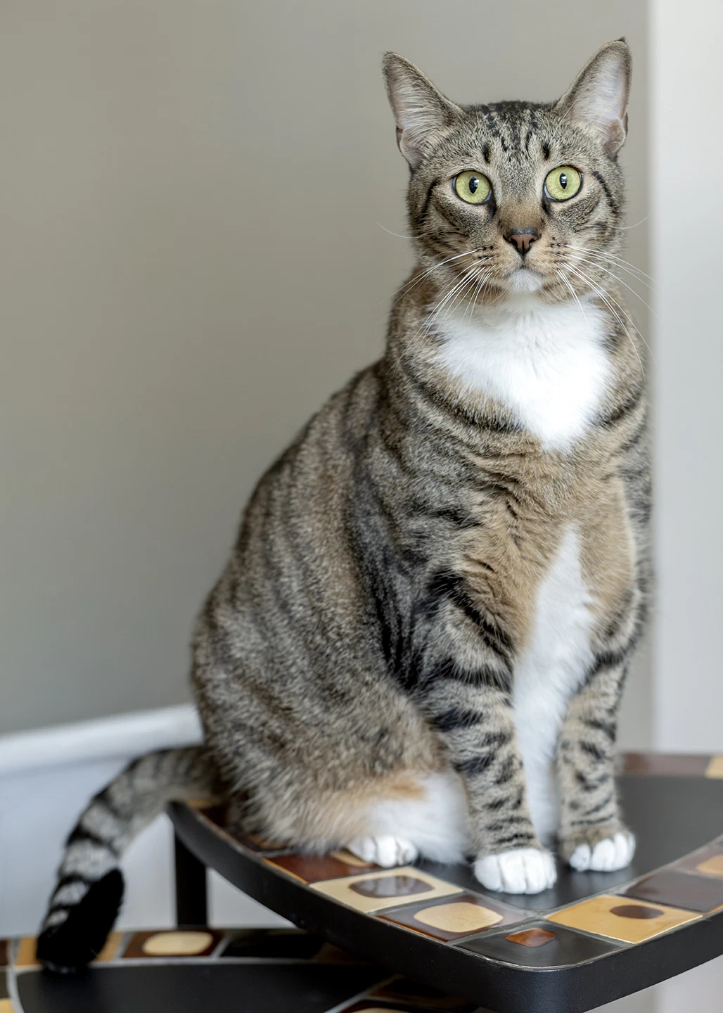 Gus