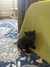 Tilly