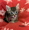 Robert