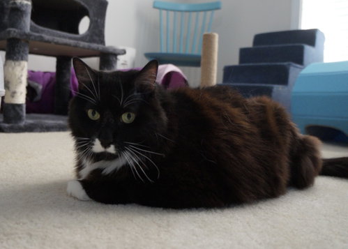 Photo 2 of Edgar