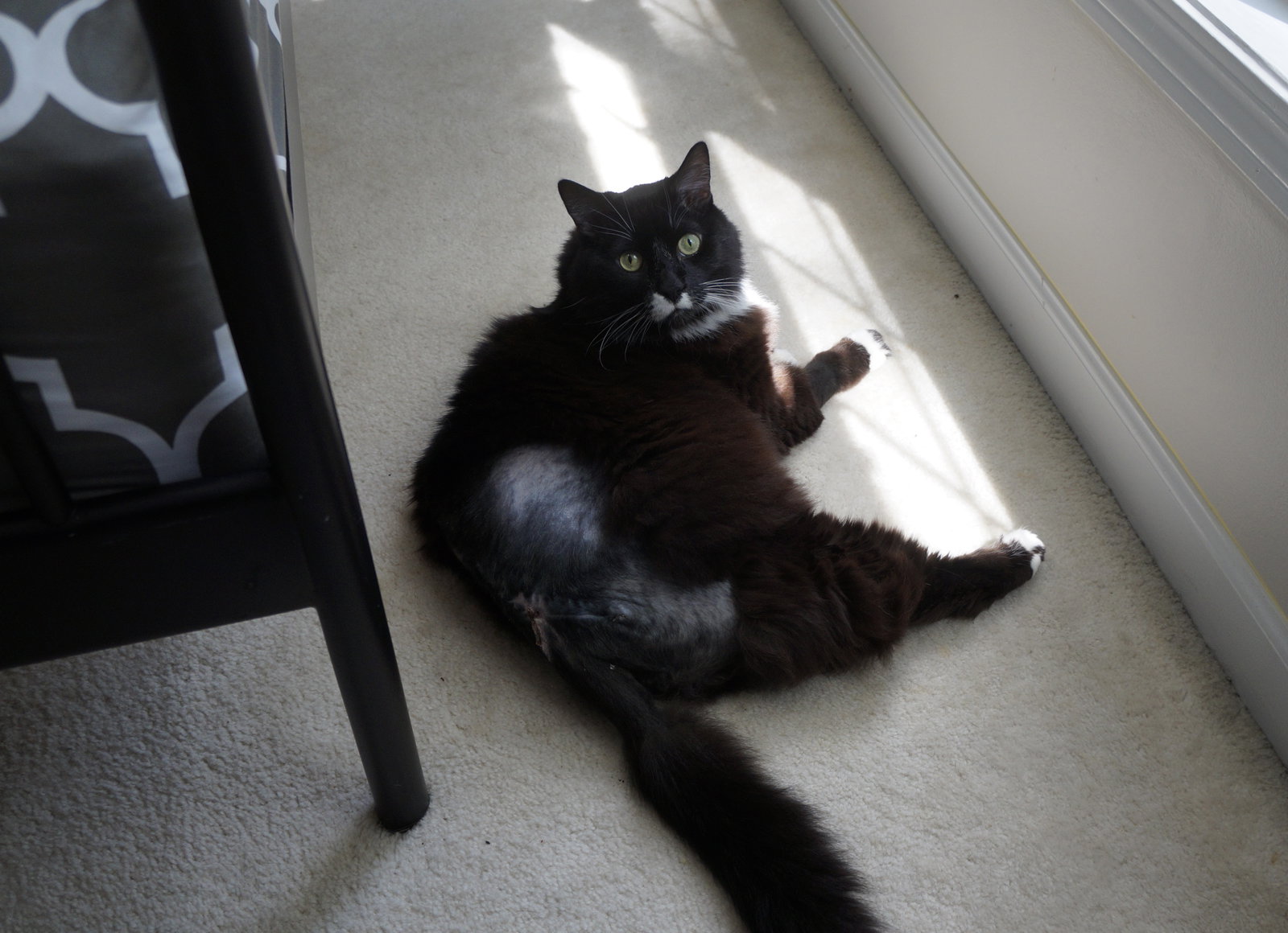 Edgar, photo 8