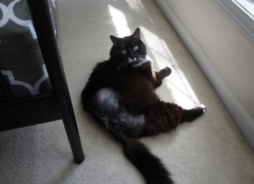 Photo 3 of Edgar