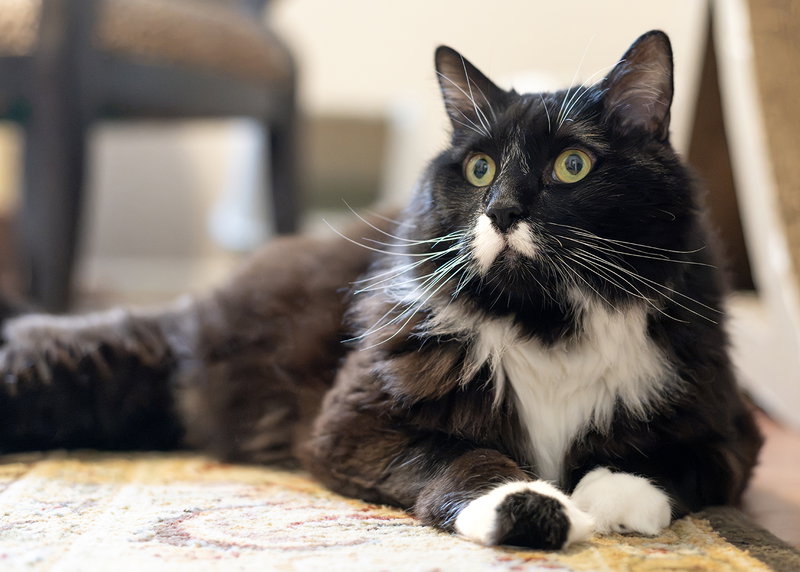 Edgar, photo 2