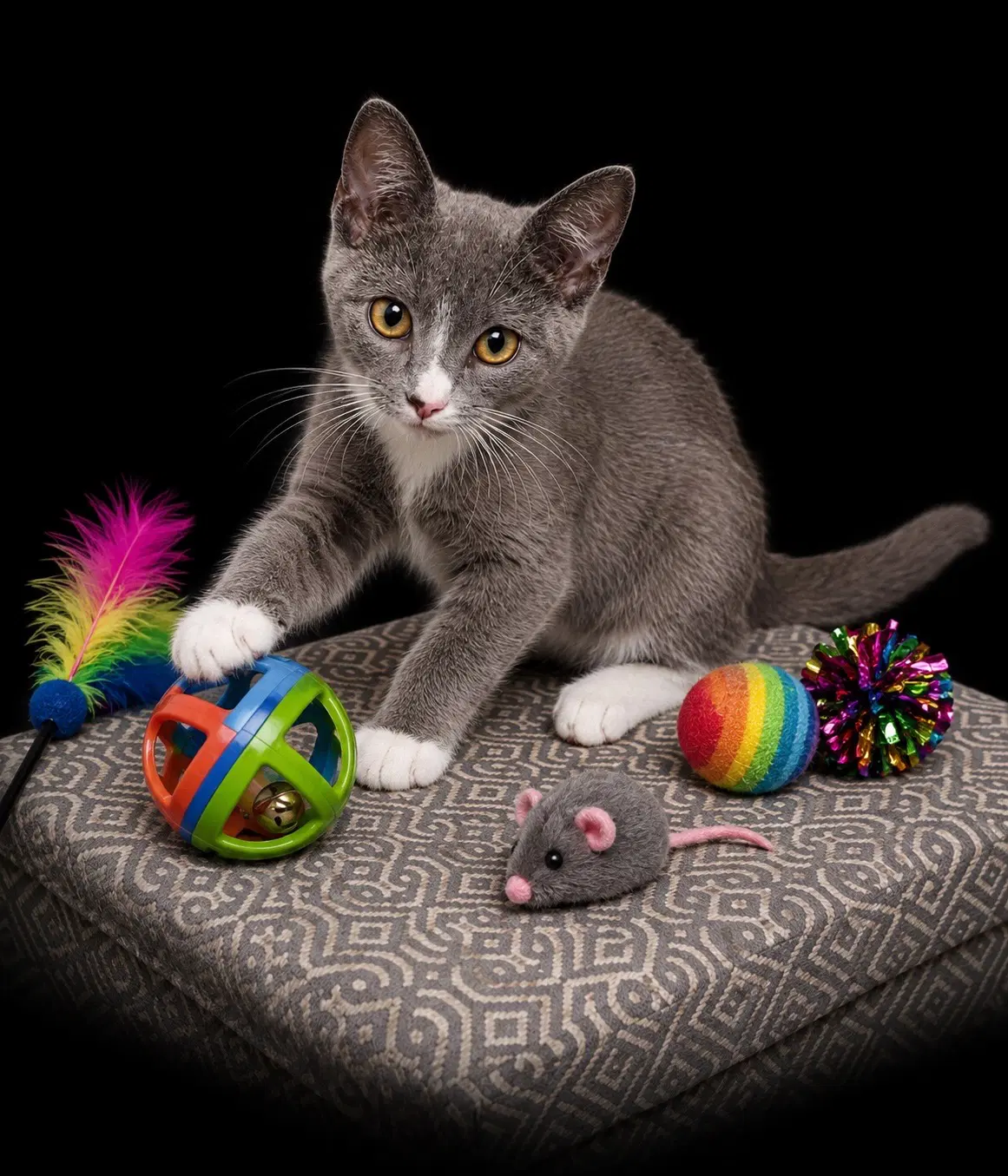 Simon image 3