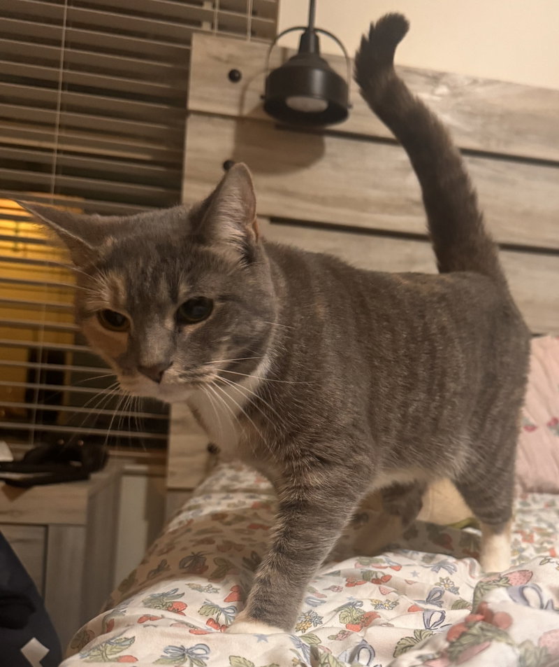 Freya, photo 5