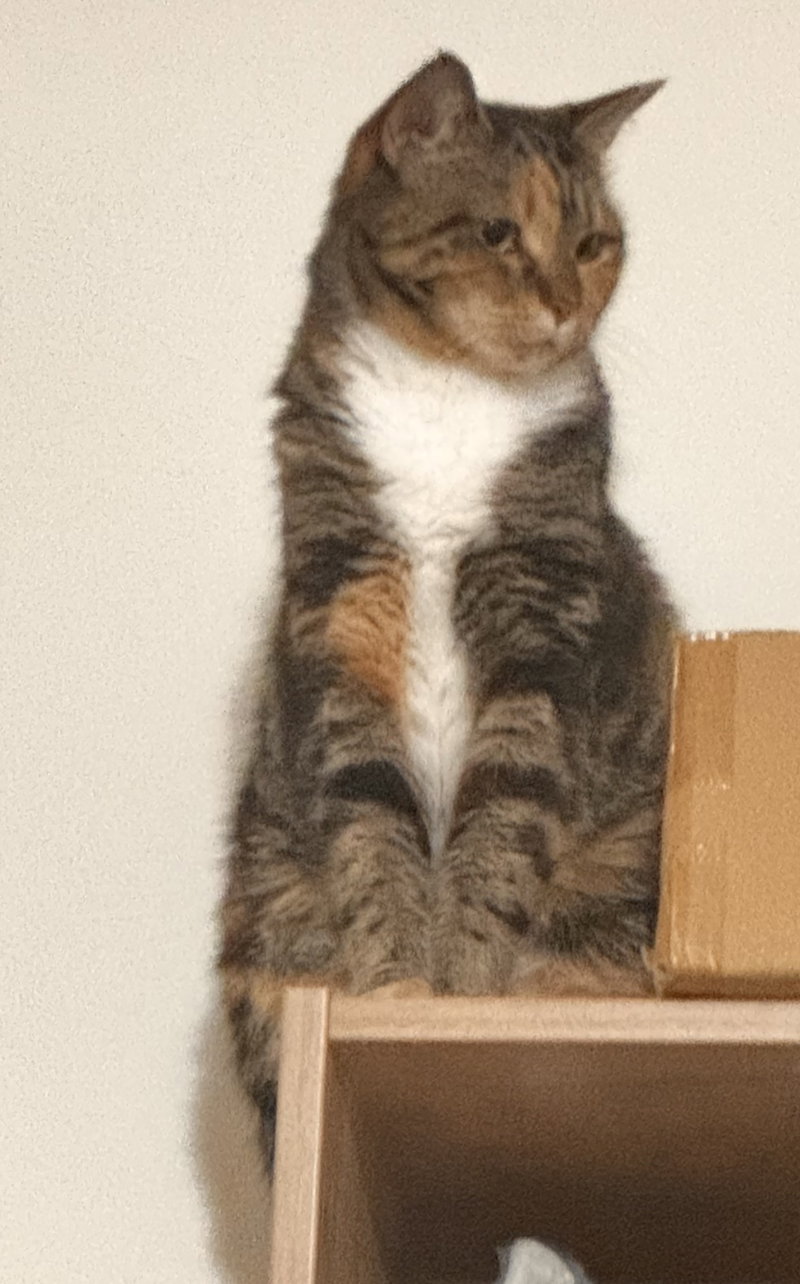 Leilani, photo 3