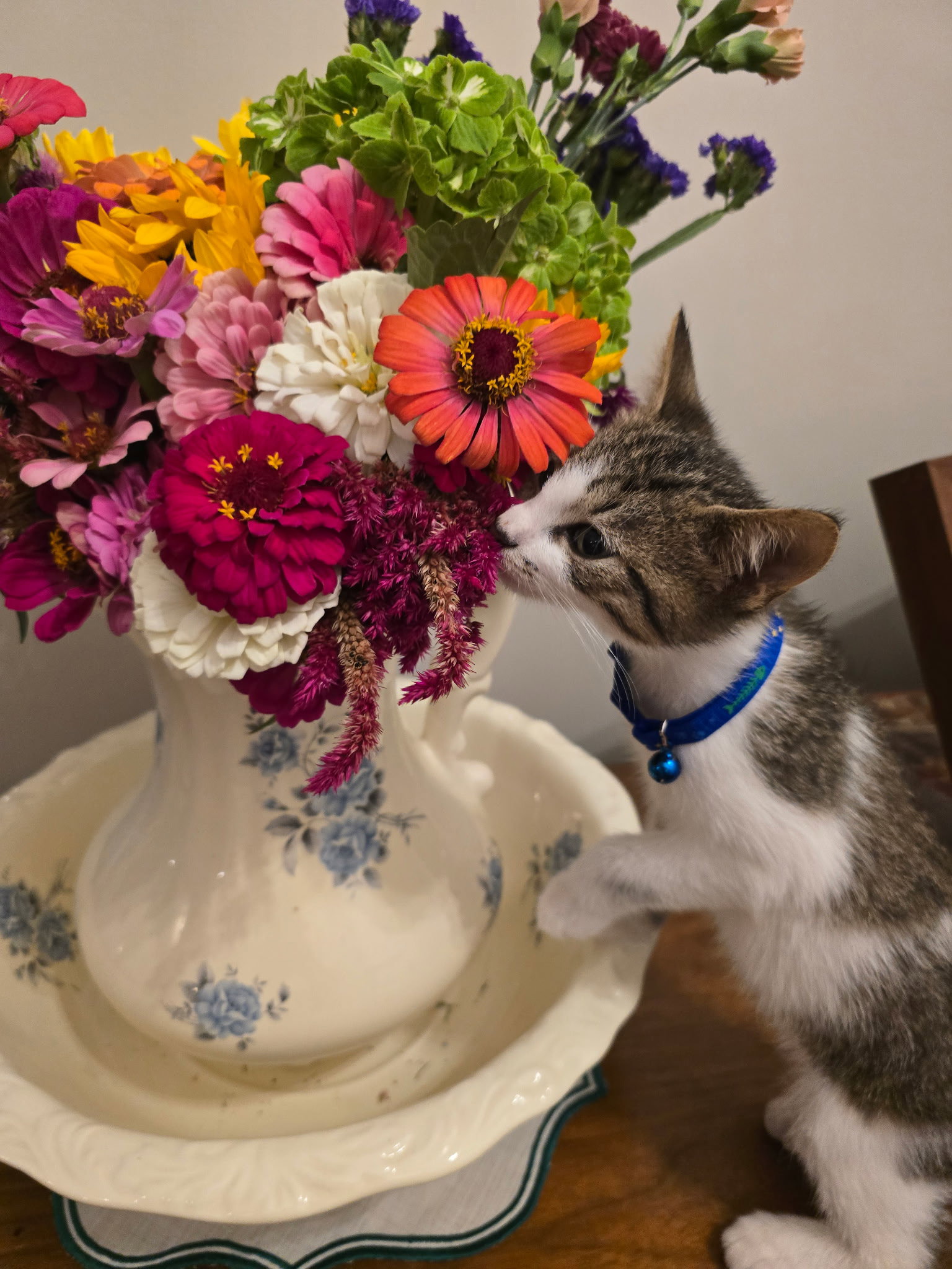 Pebbles, photo 3