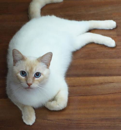 Boris