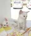 Tosh & Tina Twins!