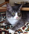 Thurston