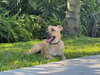 Boone - Photo 2
