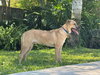 Boone - Photo 3