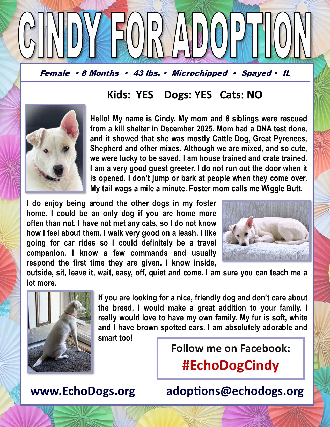 Cindy image 2