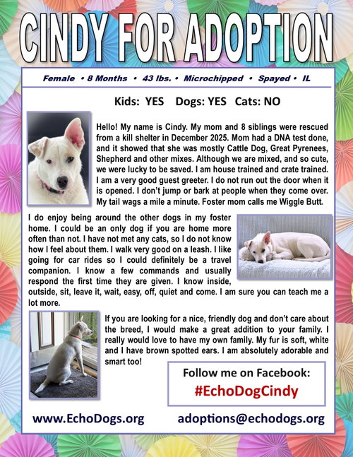 Cindy photo 1