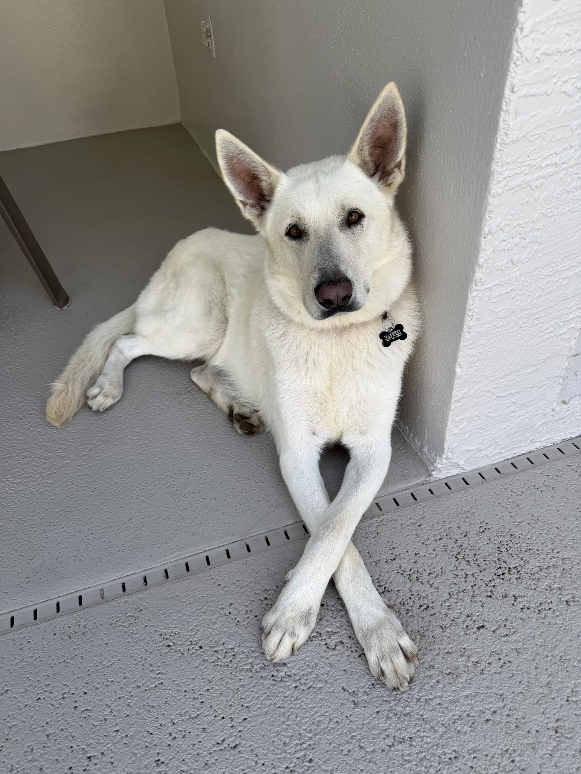 Monty image 4