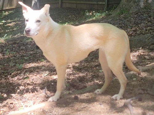 Sami photo 3