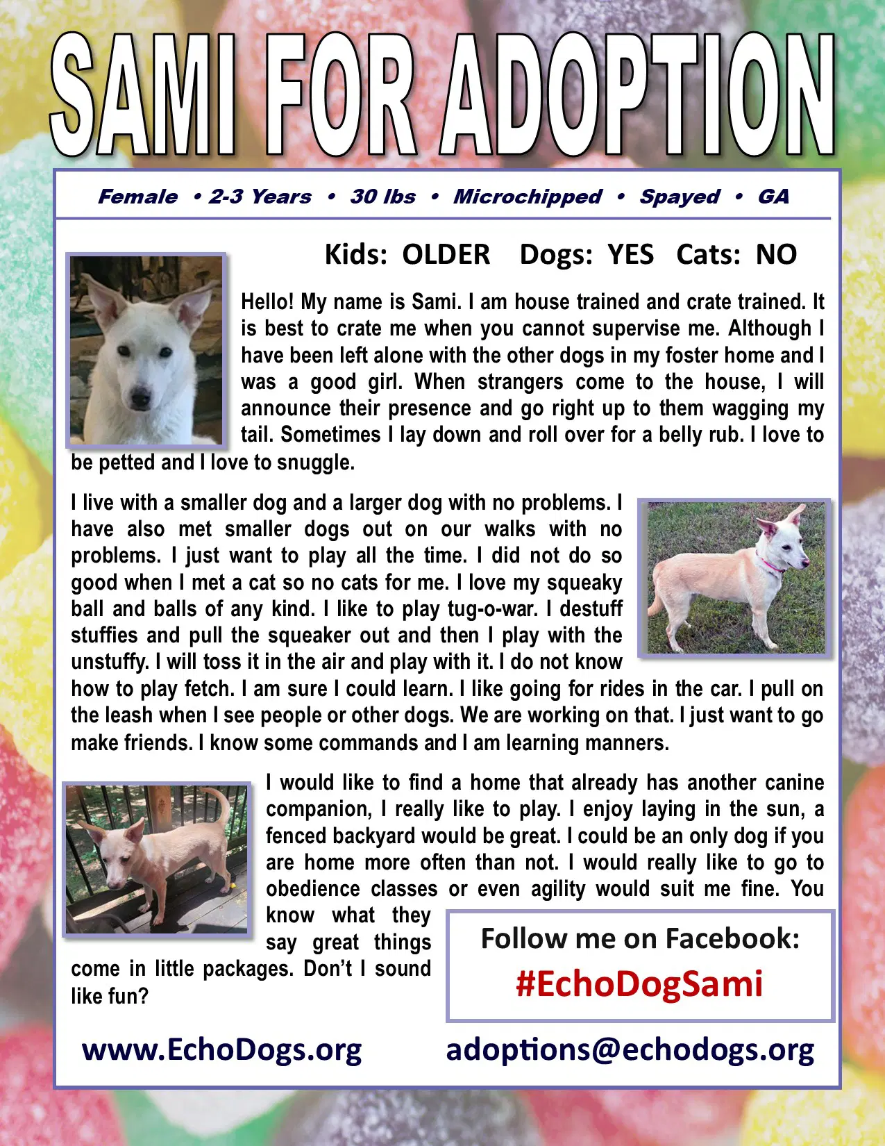 Sami image 2