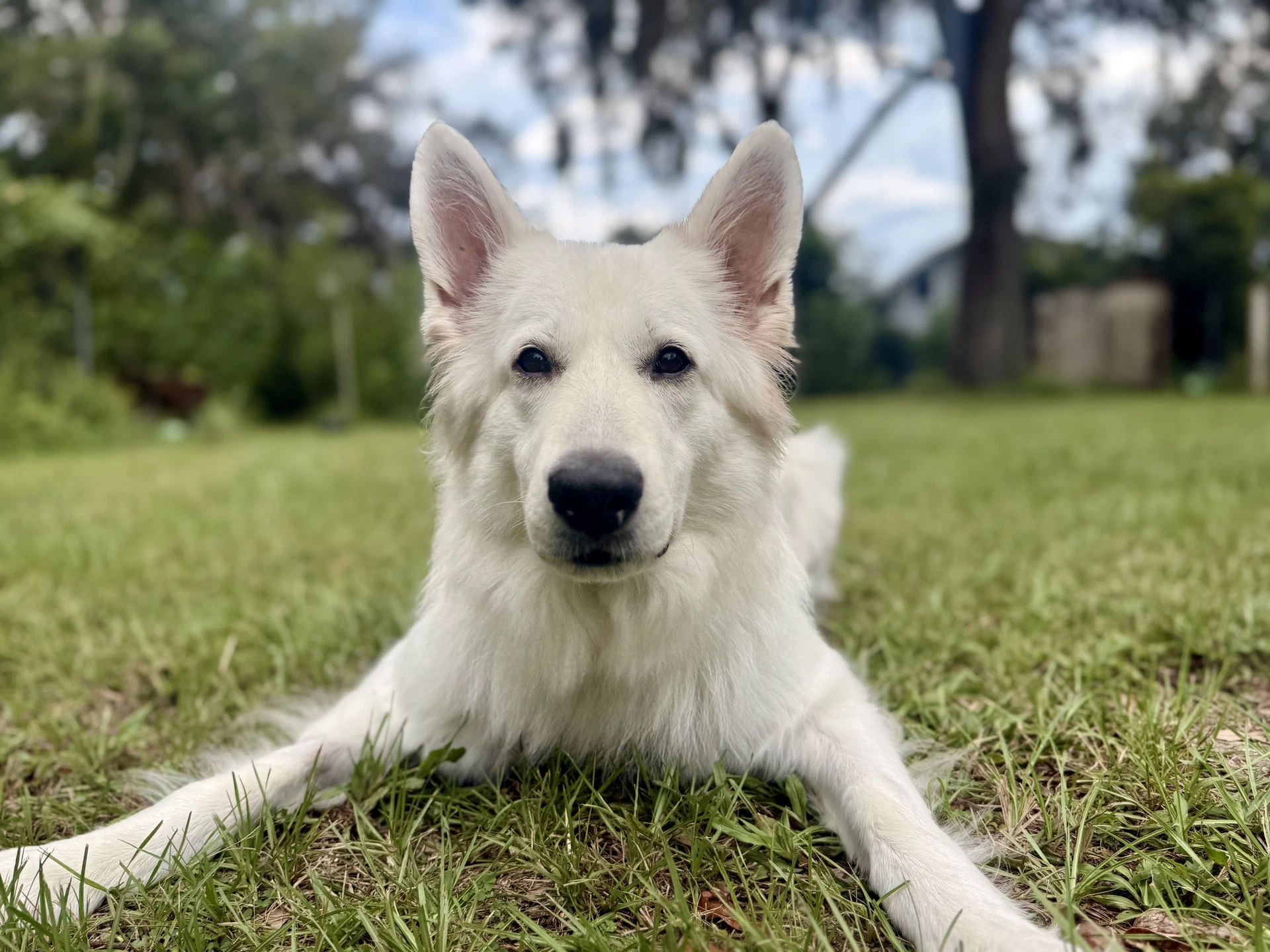 Luna Marie