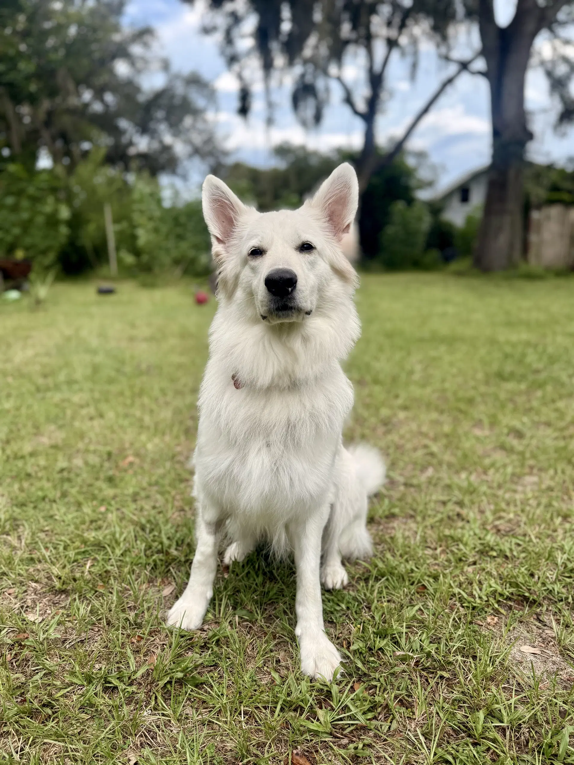 Luna Marie image 3